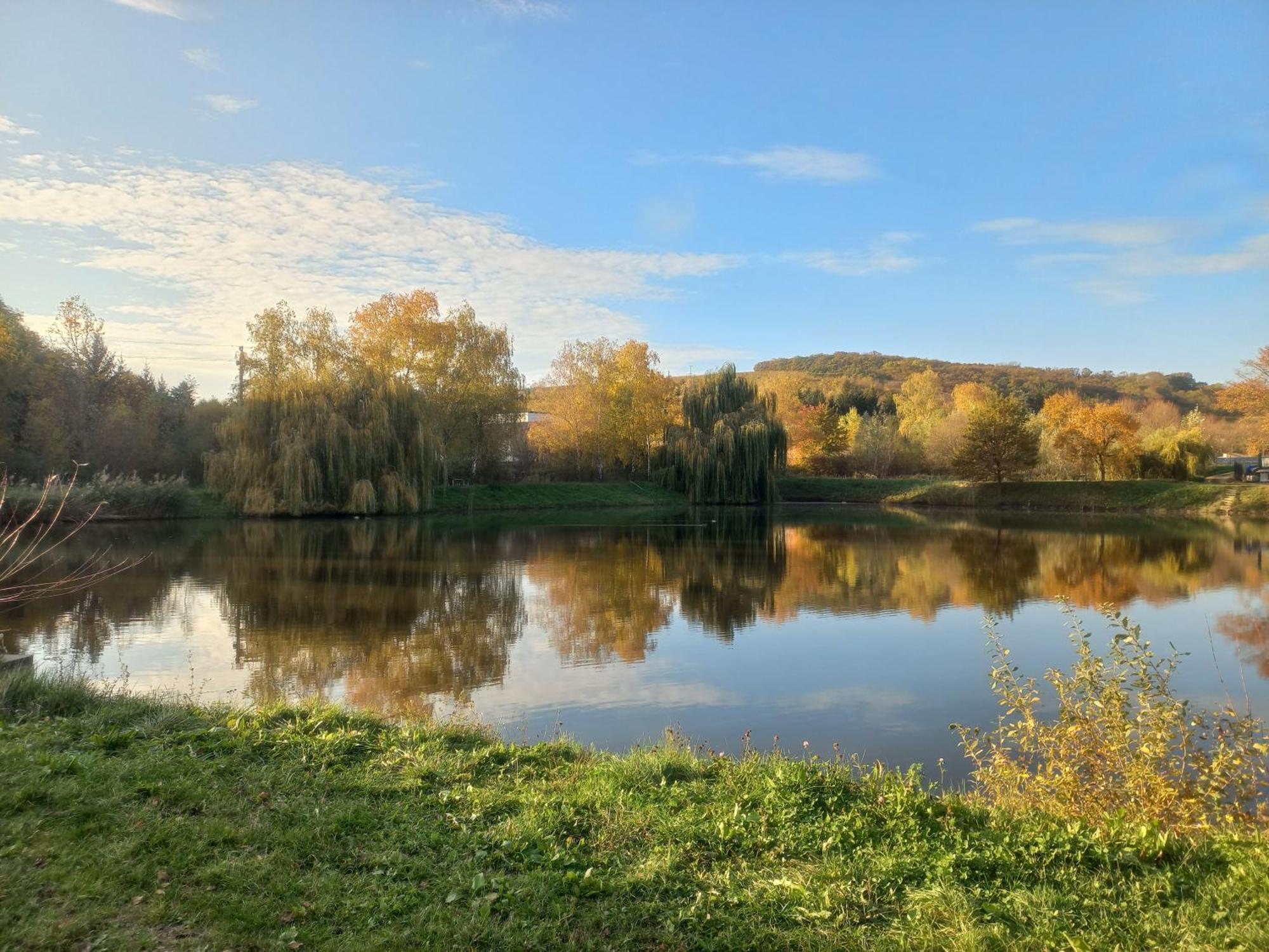 Penzion Ve Vinohrade Němčičky Eksteriør bilde
